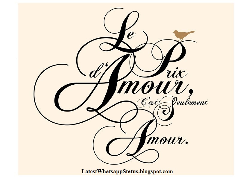 Romantic French Love Quotes For Whatsapp With English Translation Romantic French Love Quotes For Whatsapp With English Translation