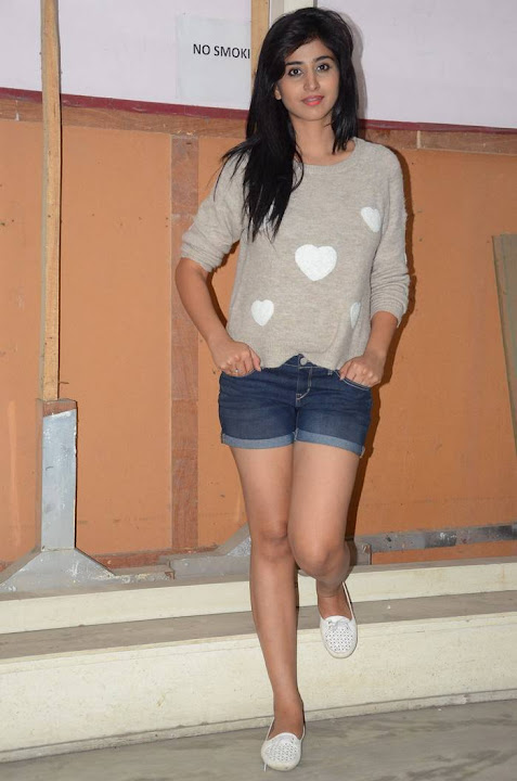 Shamili Photos At Swachh Hyderabad Cricket Match Press Meet