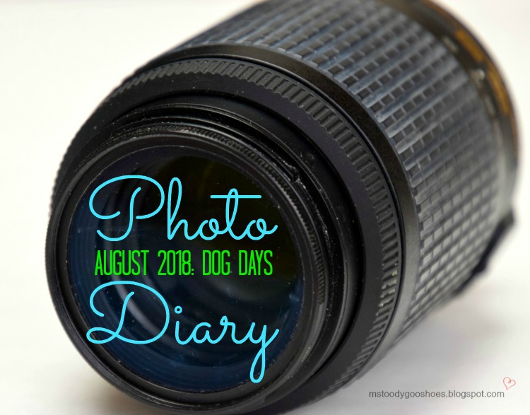 PHOTO DIARY AUGUST 2018 | Ms. Toody Goo Shoes