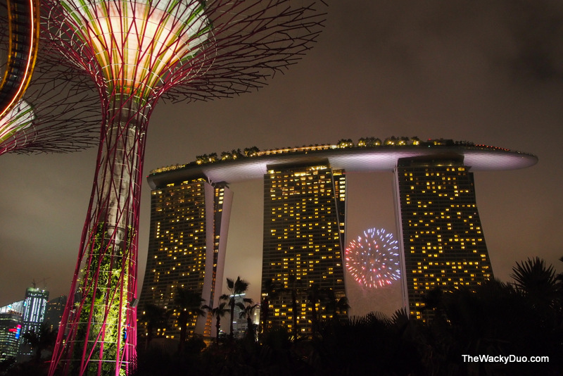 National Day Fireworks @ Gardens by the Bay