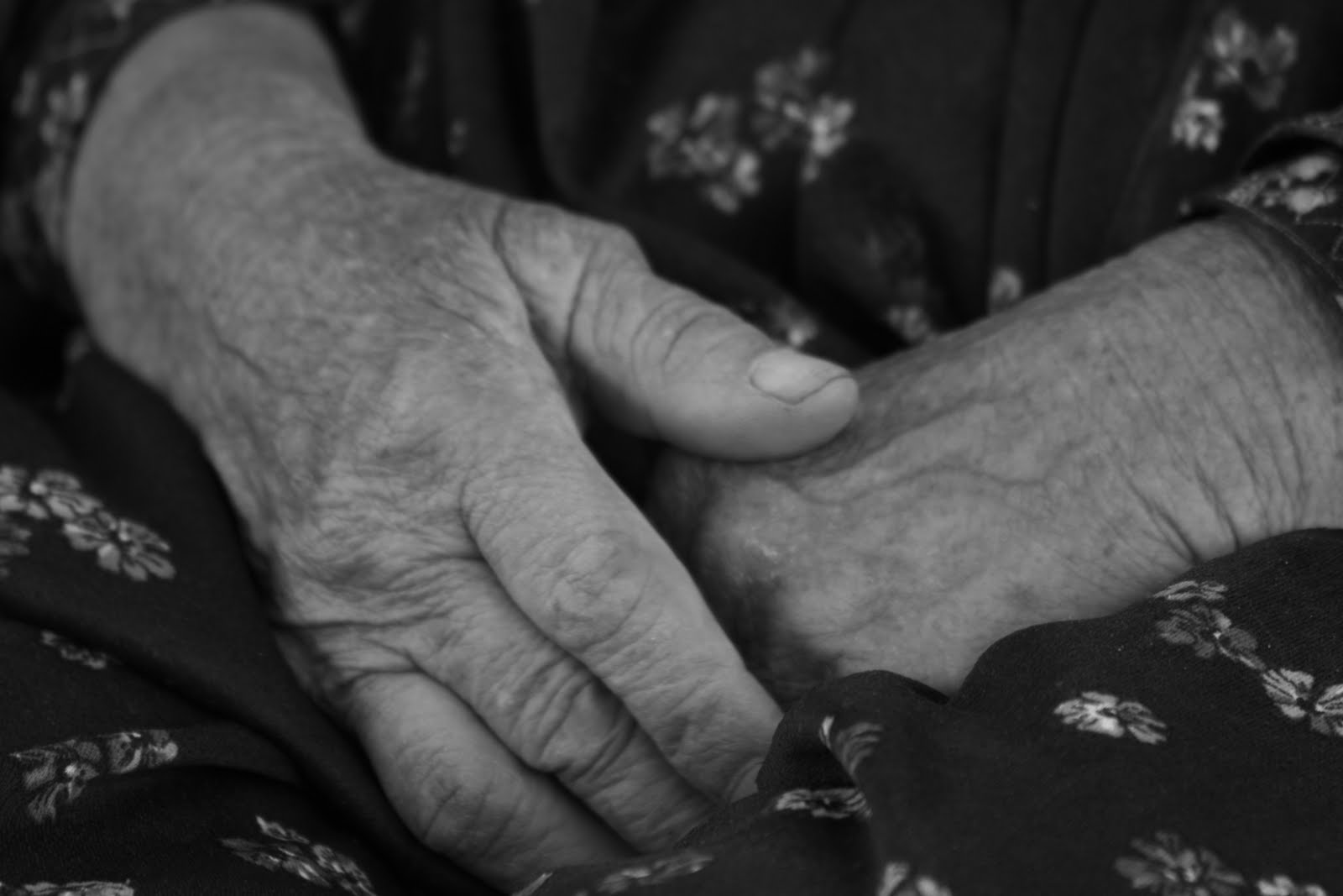 БГ Маниста / BG Manista