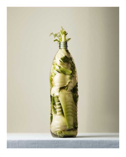 Per Johansen fotografia jarras garrafas cheias transbordando comida verduras