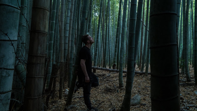 34 Fakta Bambu Yang Mungkin Belum Kamu Ketahui