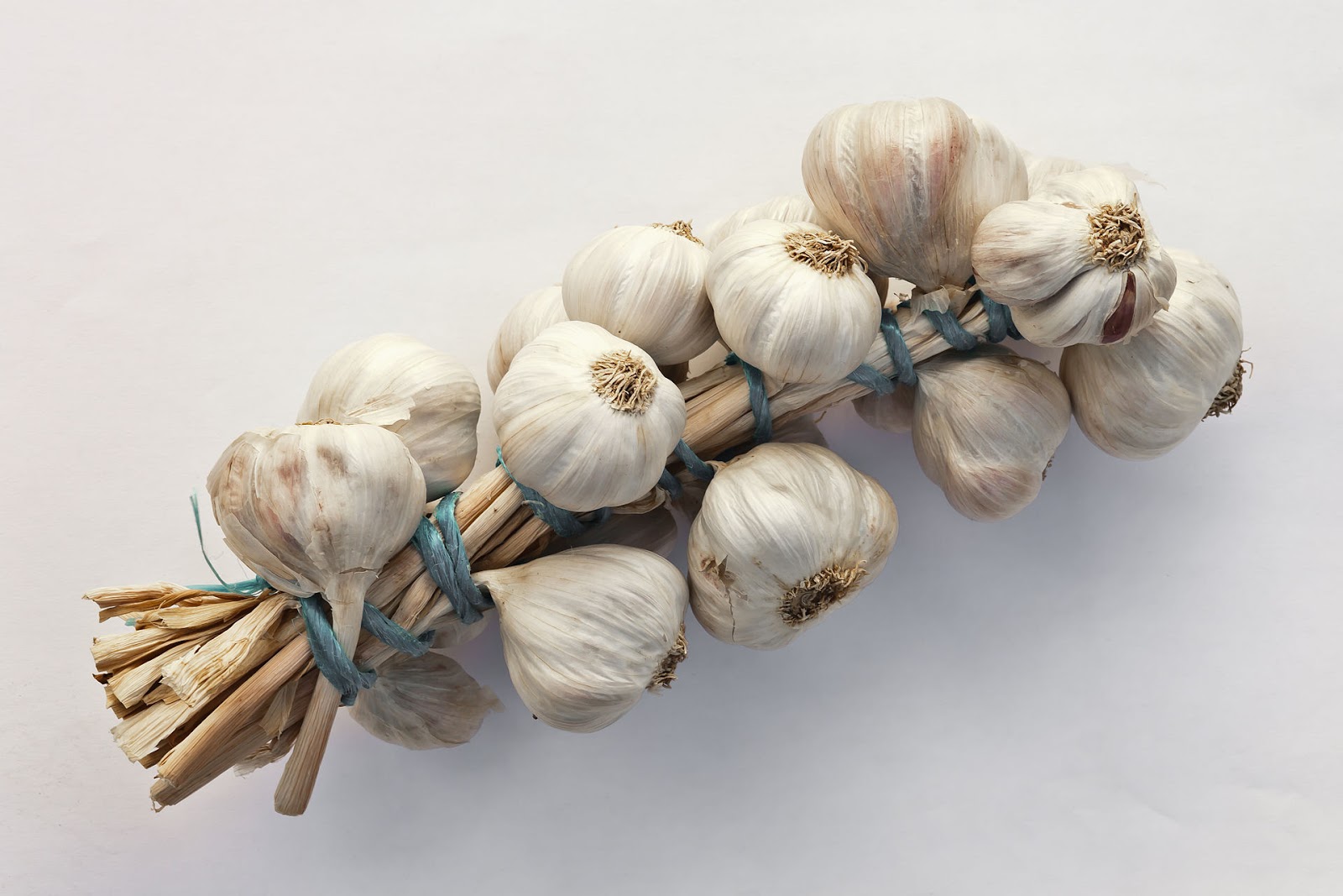 Breuillet Nature Tout savoir sur l