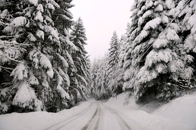 Snowfall, Road,  Le Bessat, Village, Saint-Etienne, Nature, Weather, View, 