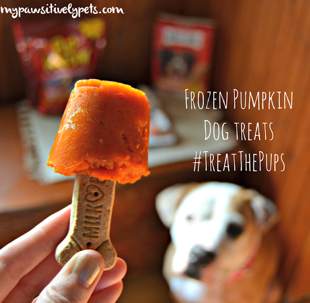 Frozen Pumpkin Dog Treats TreatThePups Pawsitively Pets