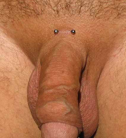 Pubic piercing Pubic piercing