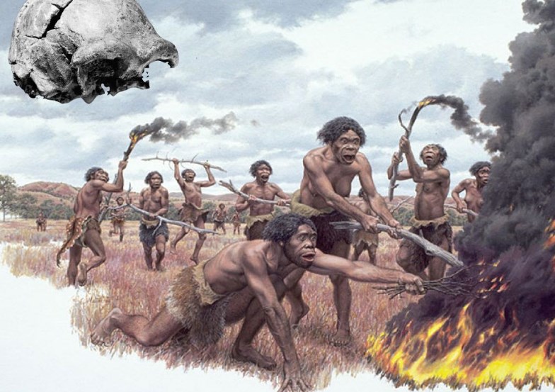 Manusia Purba Di Indonesia Asia Dan Eropa Kumpulan