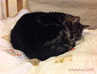 Day 2 - Suzi on quilted cat mat Feline Friday