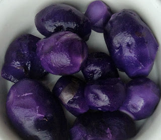 afbeelding-paarse-aardappel-vitelotte-noir