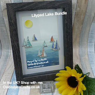 Lilypad Lake Sailing Boat Picture