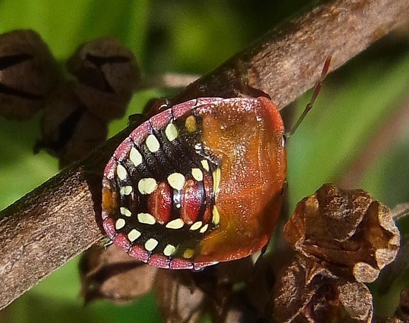 Schiller Wine Tour And Wine Pairing Lunch At Weingut Eva Vollmer