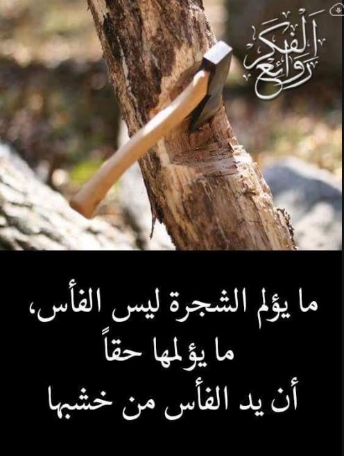 صور روائع الفكر 2018 من روائع الفكر الاسلامي يلا صور