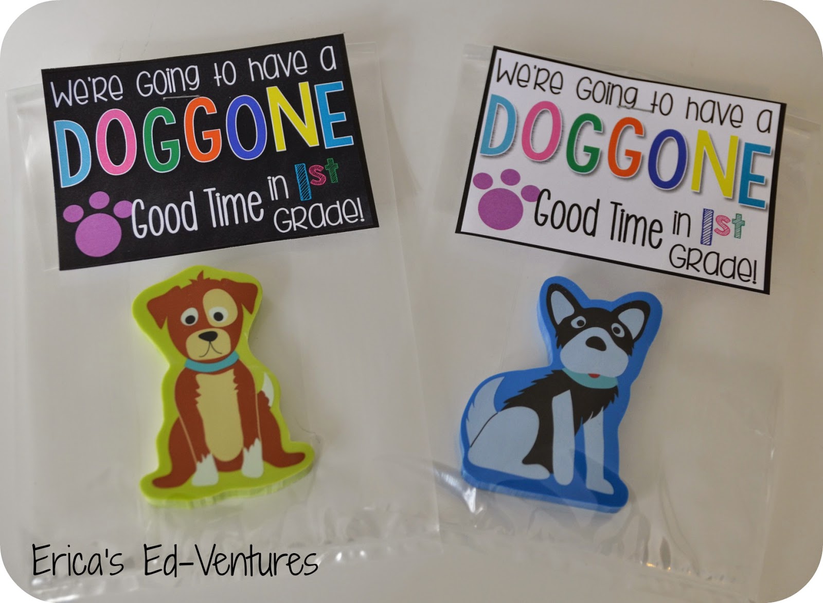 We're going to have a doggone good time in 1st grade.