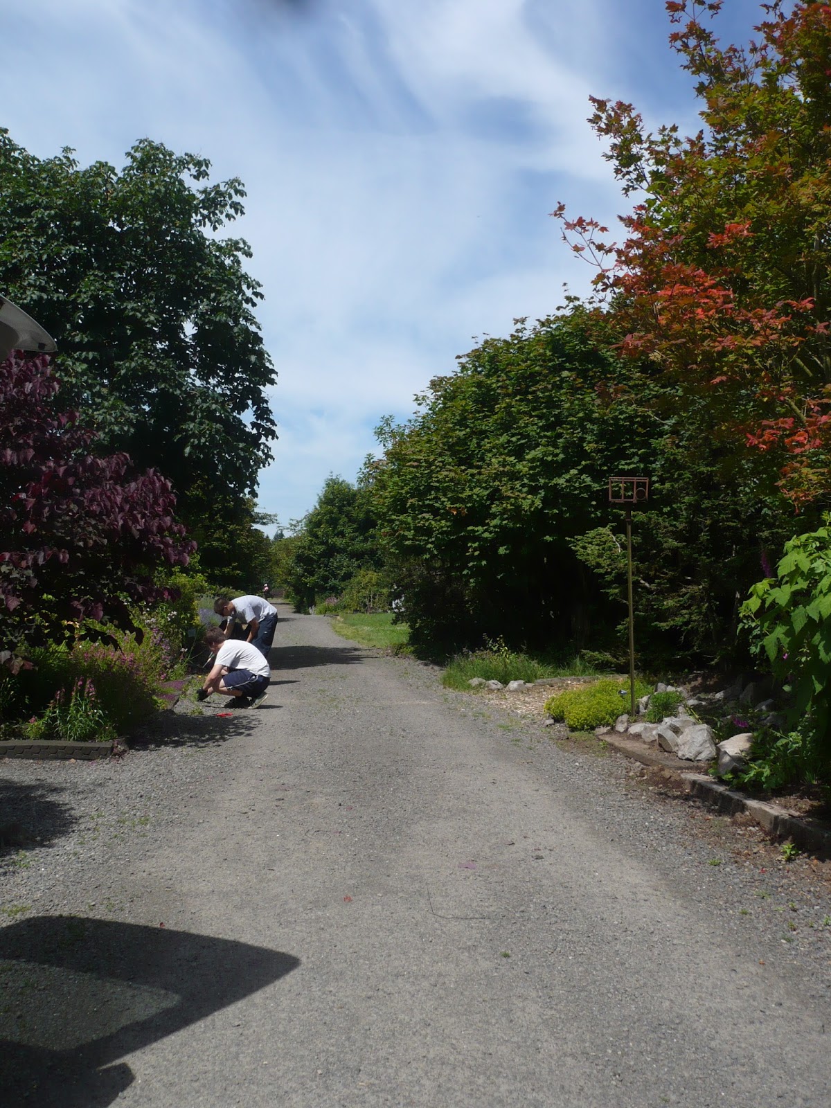 Whatsitgarden Wildlife Botanical Gardens...