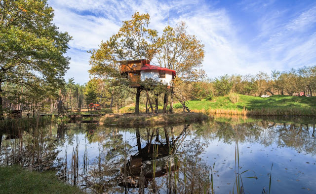The best tree house hotels from around the world