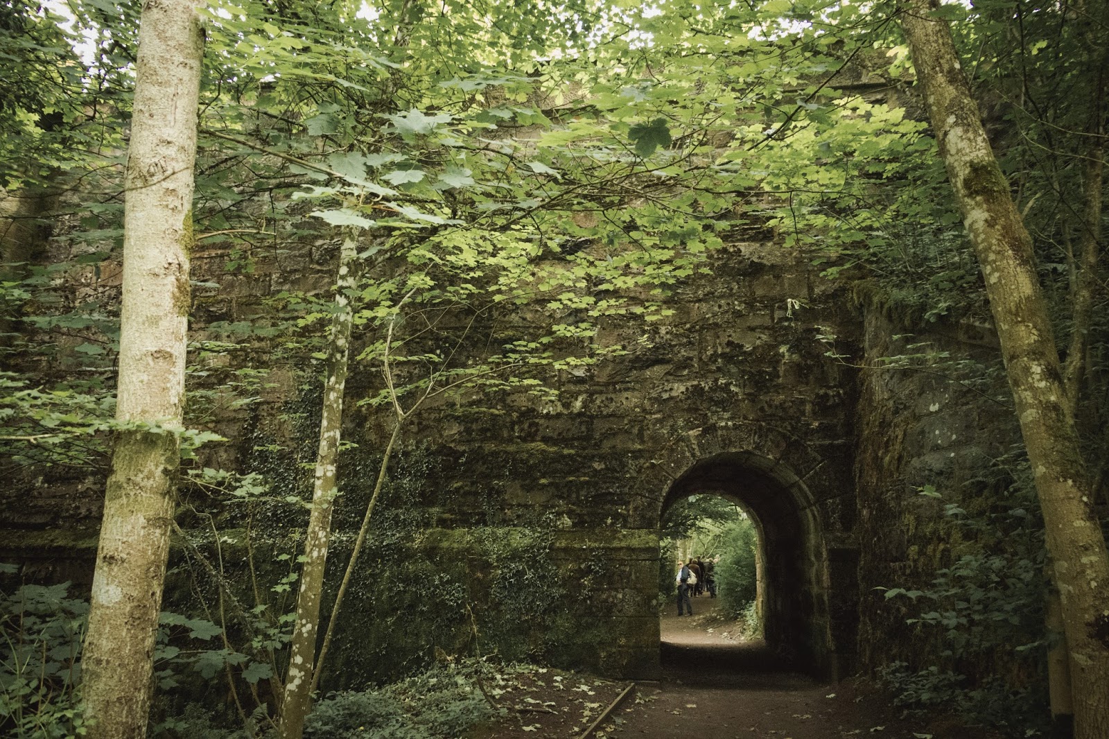 Las imágenes que yo veo Imprescindibles en tu visita a Escocia (11). The Hermitage un bosque de Las imágenes que yo veo Imprescindibles en tu visita a Escocia (11). The Hermitage un bosque de