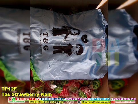 jual Tas Strawberry Kain