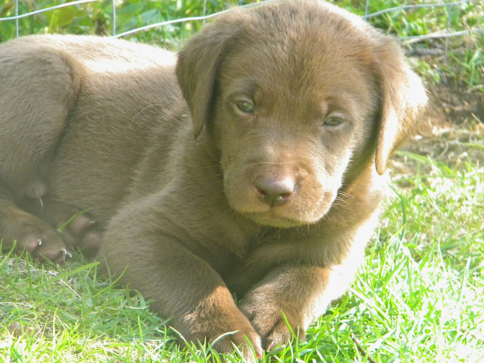 Still on a Journey... May 2014