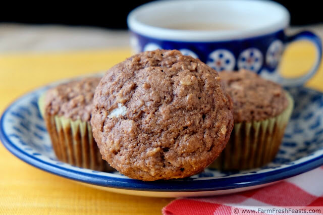 photo of a plate of banana cookie butter oatmeal muffins