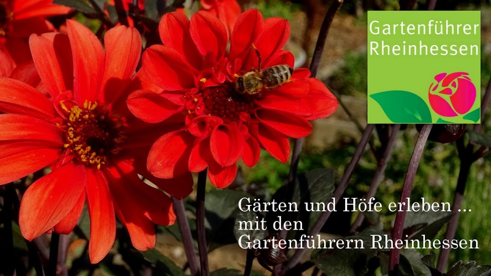 Gartenführer Rheinhessen
