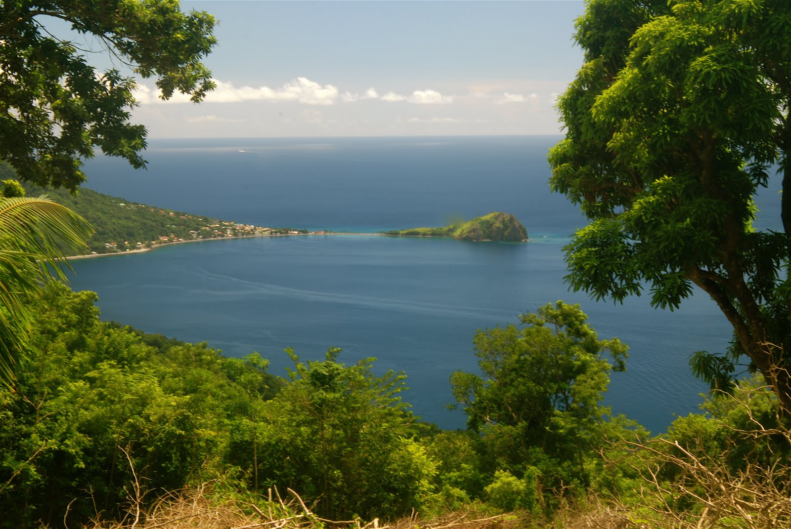 Buy land in Pointe Michel, Dominica an ecoparadise retreat! About