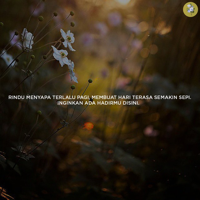 Caption Ig 2019 Bijaksana Keren Instagram Lucu Caption Keren