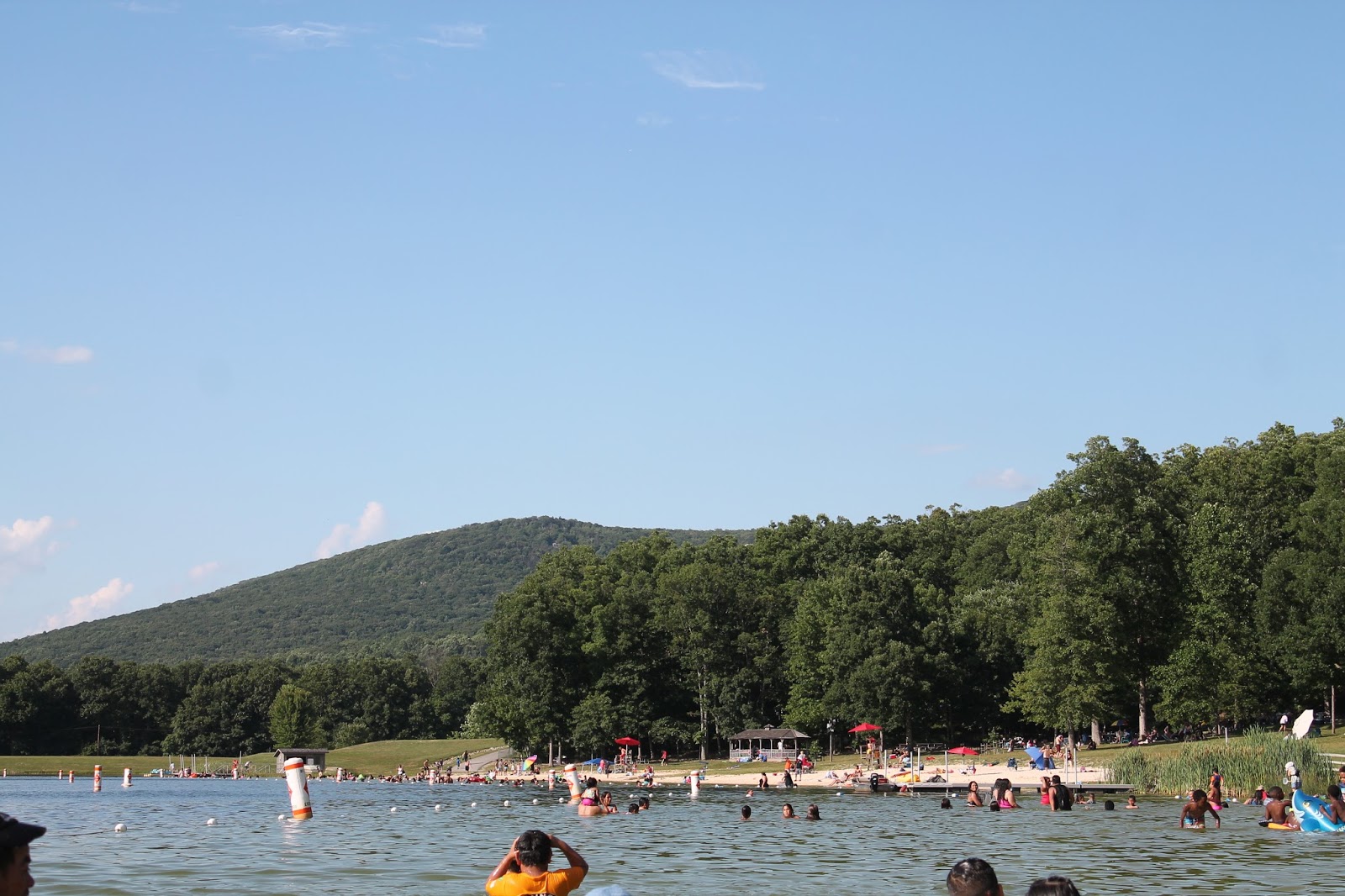 Are Dogs Allowed At Greenbrier State Park