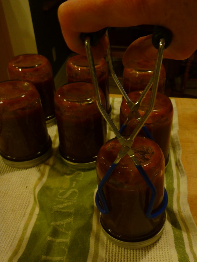 2 Stitches New Zealand Ketchup