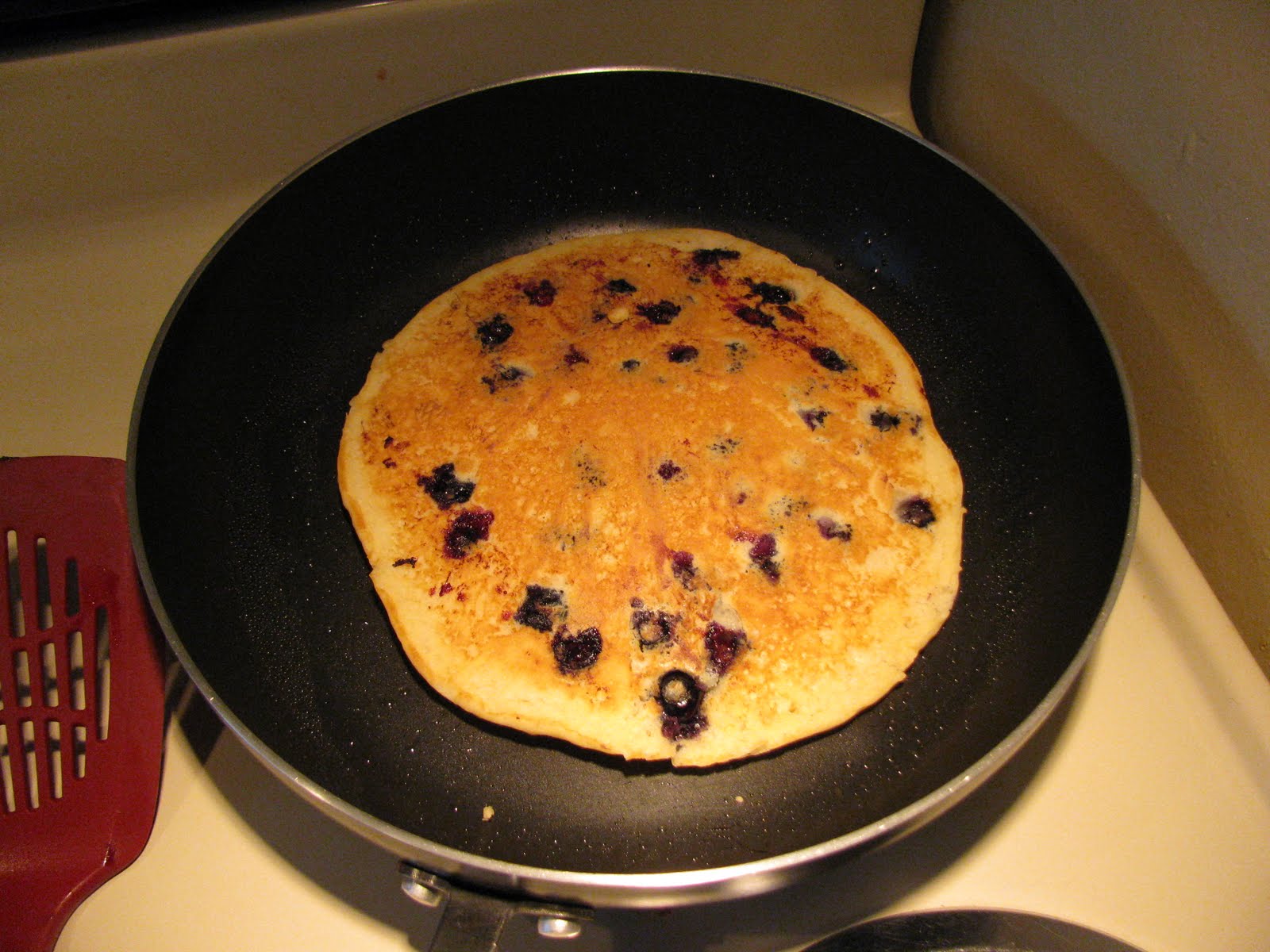 Dancing Nomad's Adventures in Alaska Wild Blueberries & Worms