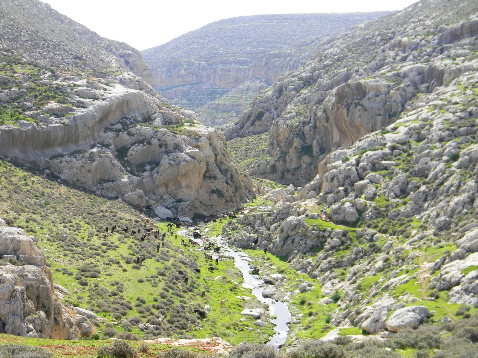 Israel: Parat Springs Hike