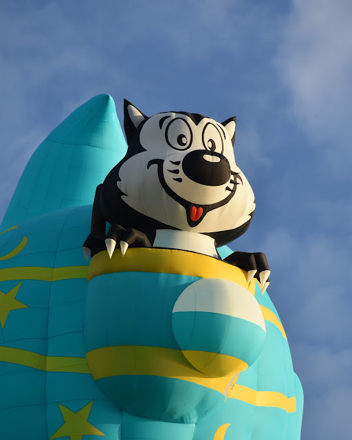 Tauranga Spotter BALLOONS OVER WAIKATO