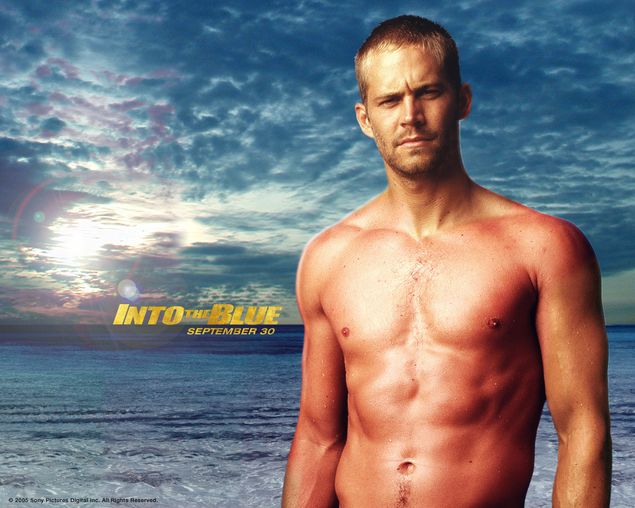 http://2.bp.blogspot.com/-b_sF8PfLISU/Ta6t9MOyUyI/AAAAAAAABME/vmBUAlK0bOo/s1600/Paul_Walker_in_Into_the_Blue_Wallpaper_5_1280.jpg