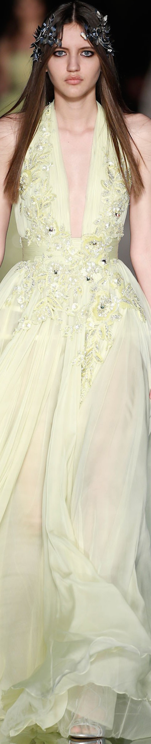  Zuhair Murad Spring 2016 Couture