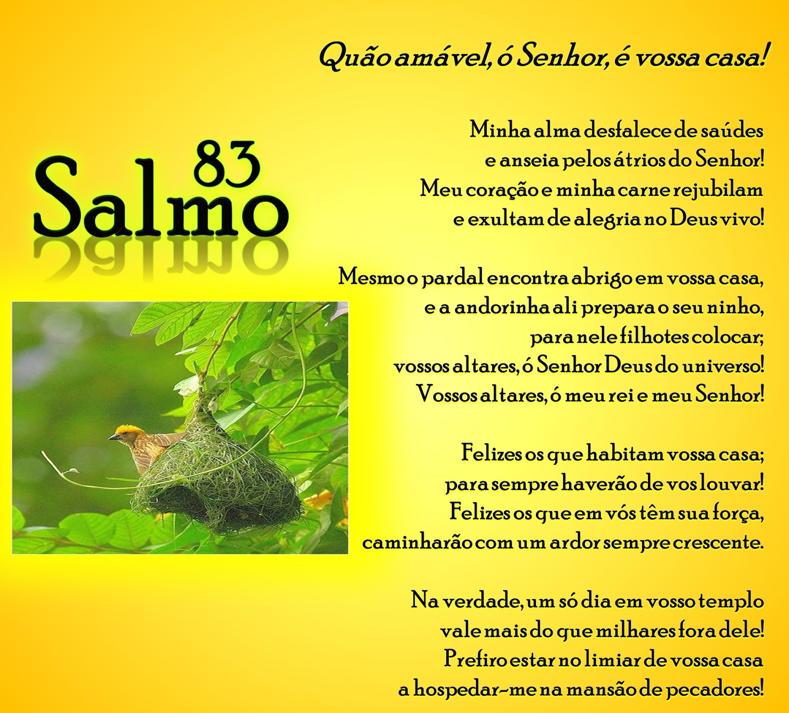SOMOS DO BEM Liturgia Êxodo 40,1621.3438 Salmo 83 Evangelho Mateus 13,4753 SOMOS DO BEM Liturgia Êxodo 40,1621.3438 Salmo 83 Evangelho Mateus 13,4753