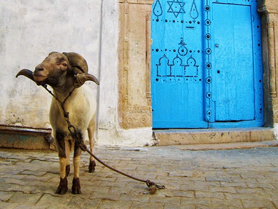 Political Clown Parade: The Tethered Goat