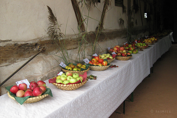 Domschule Der Kessener