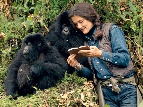 Dian Fossey 1932-1985 Αμερικανή ζωολόγος