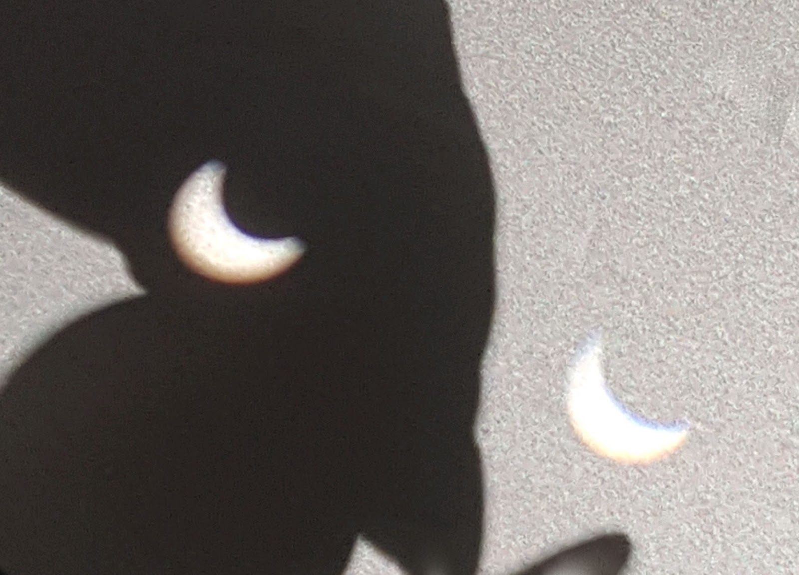 Two Men and a Little Farm ECLIPSE 2017 HOUSTON