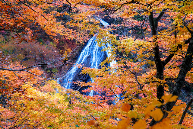 #photo #landscape #sigma #foveon #sdquattroh #japan #yamagata #tsuruoka #山形県 #鶴岡市 #山形帝國 #写真 #風景写真