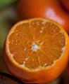 Buah jeruk orange untuk jus