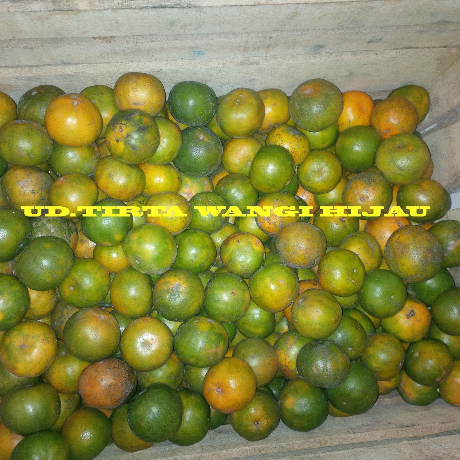1 Kg Jeruk Peras Berapa Buah | Seputar Buah
