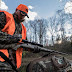 Basic Safety Firearms For Hunters