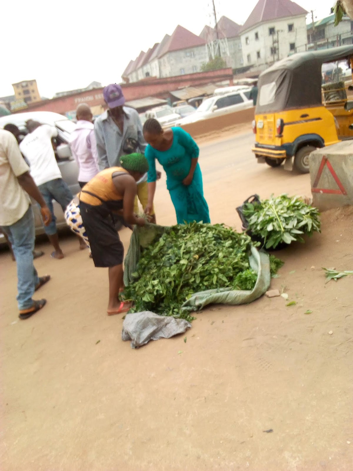 PUMPKIN LEAVES(UGU) JUICE, A HEALTHY DRINK