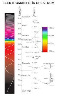 elektromanyetik spektrum, elektromanyetik dalgalar tayf