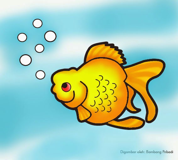 Mewarnai Binatang Ikan Maskoki belajar menggambar dan  
