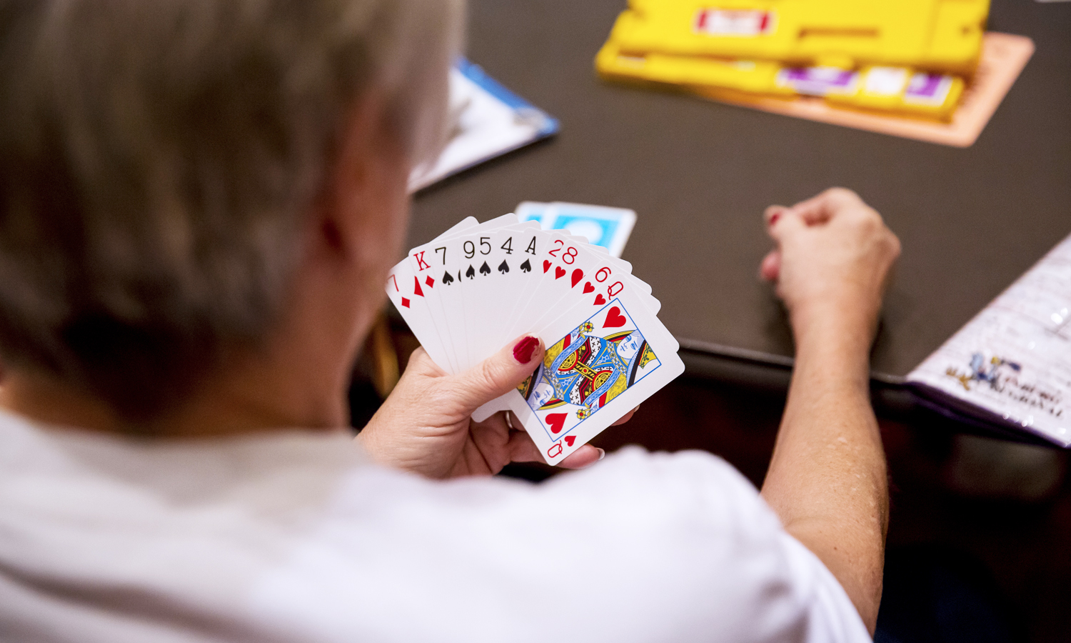 Brevard NC Duplicate Bridge Club brevard-nc-duplicate-bridge-club
