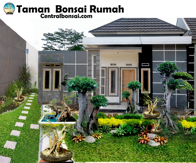 RUMAH KECIL DENGAN TAMAN BONSAI TERLIHAT ASRI & SEJUK