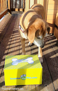 Sophie thinks you should order #SurpriseMyPet box... now! #JoinThePawty and SAVE 15% with #coupon code LAPDOG - your pup will love the goodies! #LapdogCreations ©LapdogCreations