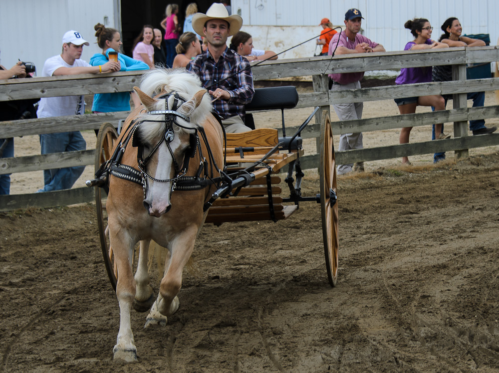 Projects and Photographs Geauga County Fair Draft Horse Show
